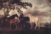 George Stubbs Mares and Foais in a Landscape (nn03) china oil painting reproduction